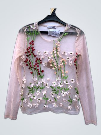 Zara Sheer Embroidered Blouse