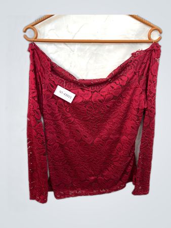 Unbranded Red Sheer Lace Blouse