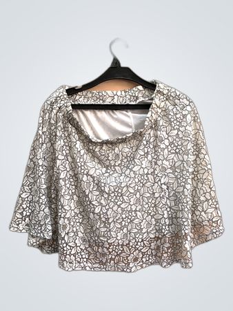 Sheer Lace Floral Blouse