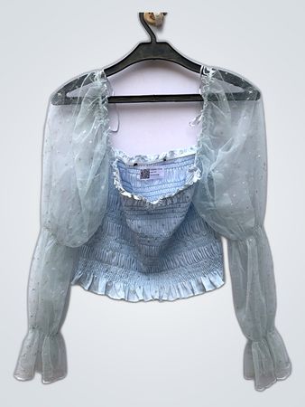 Sheer Ruffle Sleeve Blouse