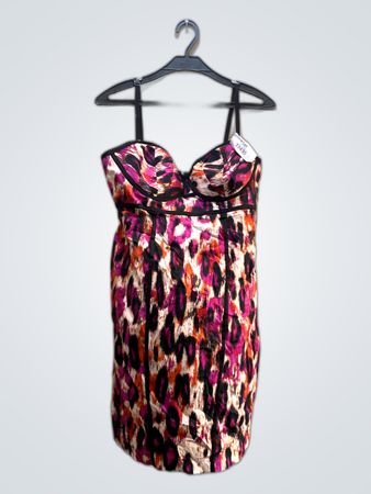 Sofia Vergara Dress