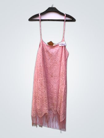 Faith Vintage Pink Lace Slip Mini Dress