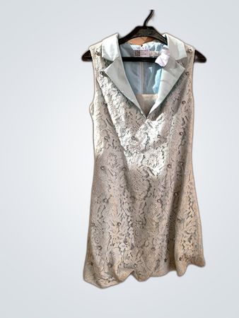 Fifth Garden Lace Collared Mini Dress