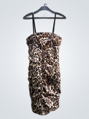 Leopard Print Strapless Mini Dress