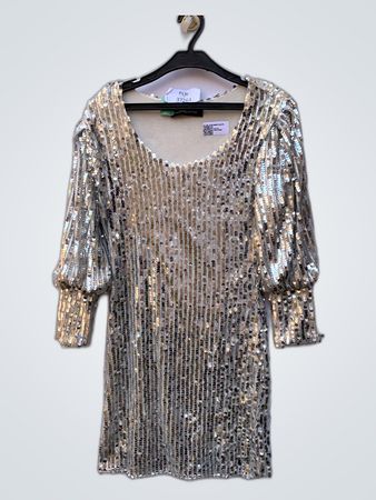 Silver Sequined Mini Dress