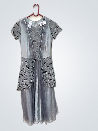 Gray Distressed Dress
