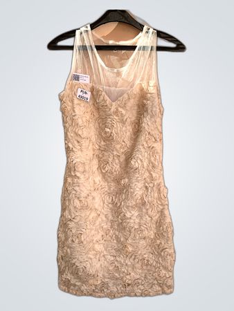 Unbranded Cream Lace Rose Applique Mini Dress