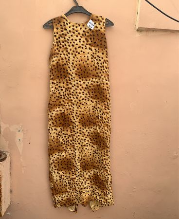 Vision Leopard Print Silk Dress