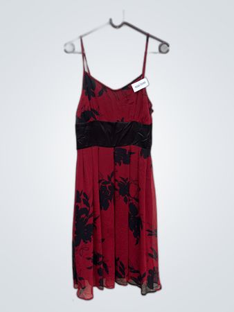 Red Floral Print Mini Dress
