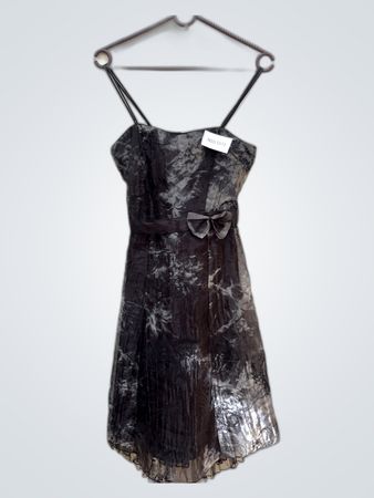 Unbranded Black Sheer Mini Dress