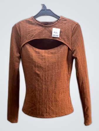 Brown Long Sleeve Top