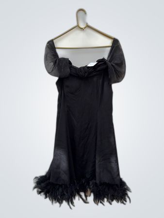 Black Sheer Sleeve Mini Dress with Feather Trim
