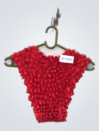 Unbranded Red Ruffled Crop Top