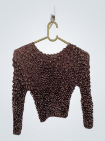 Brown Crinkled Long-Sleeve Crop Top
