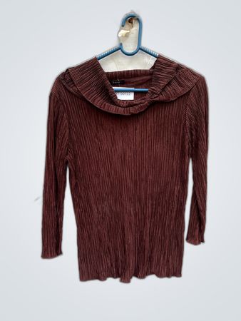 Coin Pleated Ruffle Blouse