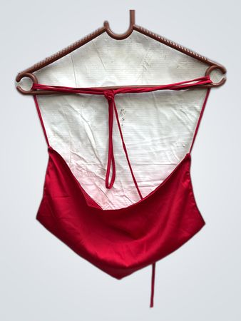 Unbranded Red Satin Halter Top