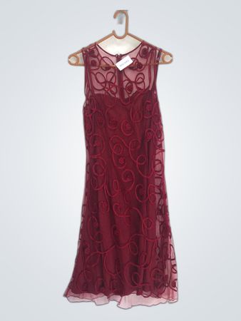 Red Embroidered Mesh Mini Dress
