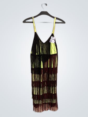 Fringe Dress