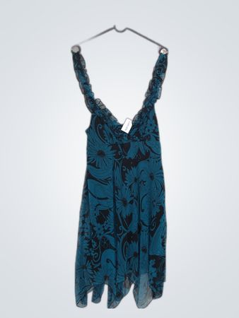 Muse Blue Floral Dress