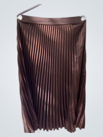 Brown Pleated Skirt
