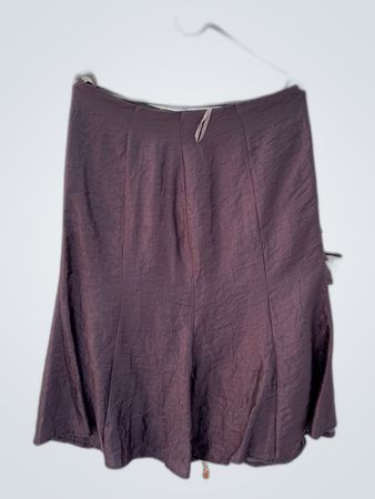 Brown Skirt