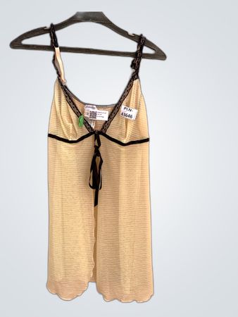 Sheer Chemise with Lace Trim
