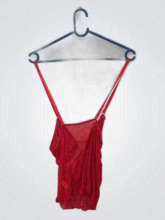 Red Sheer Bodysuit