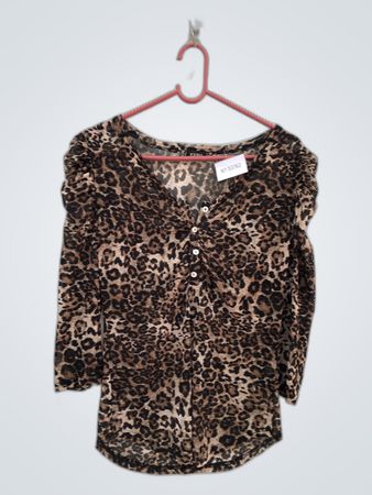 Jolina Leopard Print V-Neck Blouse