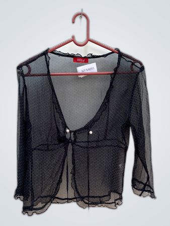 CREOLA Sheer Black Top