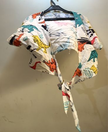 Dinosaur Print Baby Bib