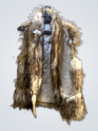 Zara Faux Fur Vest