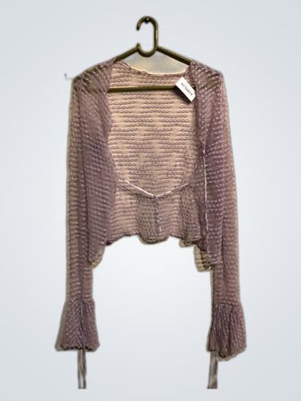 Purple Sheer Cropped Top