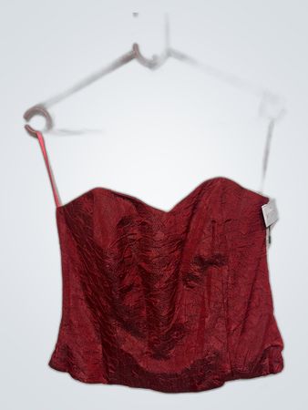 Red Bustier Top