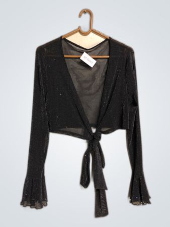 Black Tie Front Cropped Long Sleeve Sheer Glitter Top