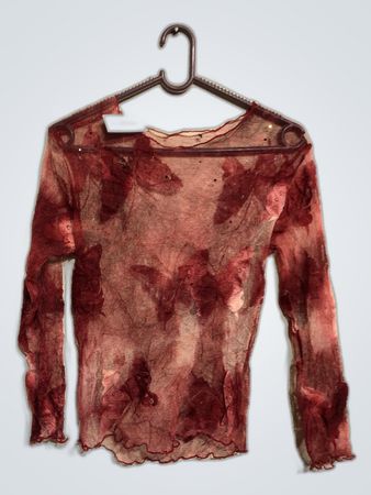 Sheer Red Blouse