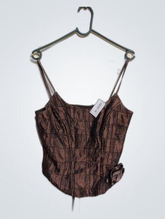 Brown Corset Top