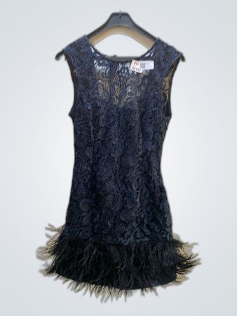 Blue Lace Dress with Feathers