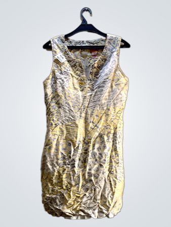 Sleeveless Printed Mini Dress