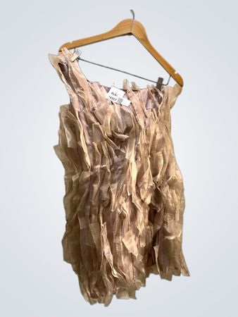 Ruffled Tulle Dress
