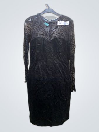 Black Mesh Dress