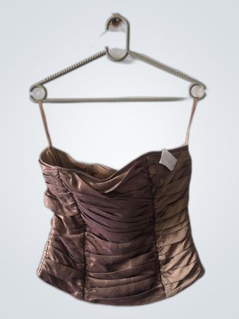 Brown Satin Bustier