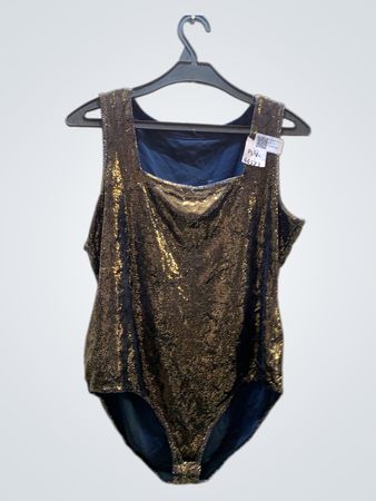 Gold and Blue Sequined Leotard