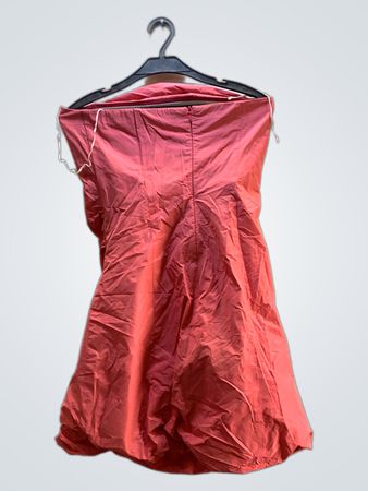 Pink Dress