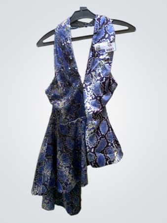 Blue Sequined Dress