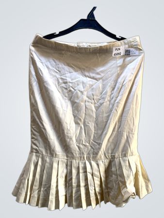Pleated Skirt