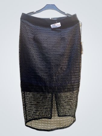 Eva Mendes Black Mesh Skirt