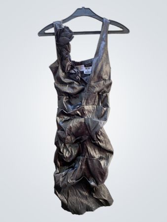 Schöne Frauen Raffung Metallic Kleid