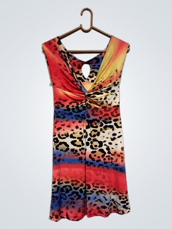 Women's Sleeveless Twist Front Leopard Print Dress