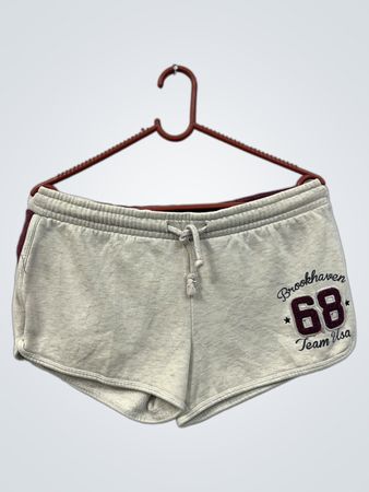 Brookhaven 68 Team Usa Shorts