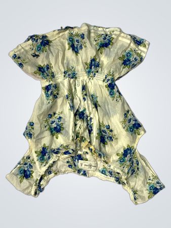 Abercrombie & Fitch Floral Print Dress